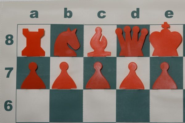 demo chess 2 Chess Demo Board - D01 - Image 3