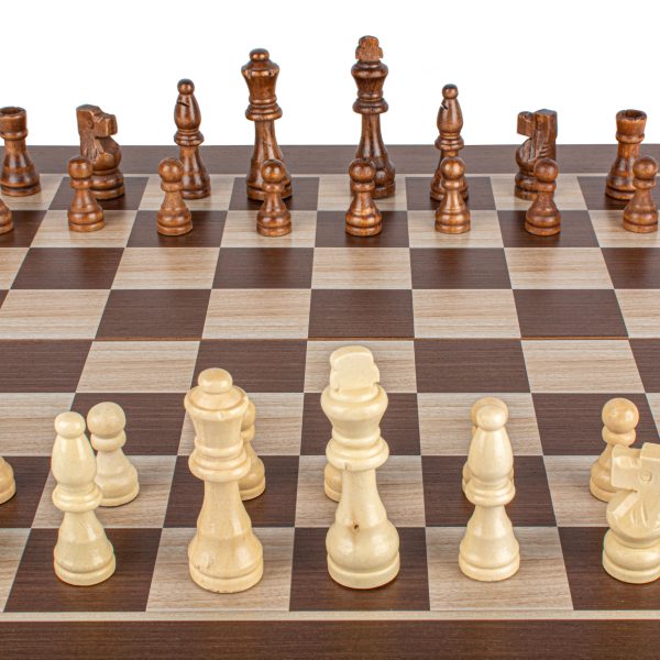 Handmade Backgammon TS1V - Image 3