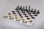 School Chess Set (figures + folding plastic chessboard)